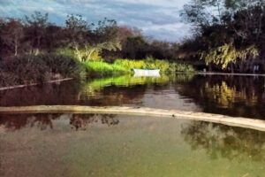 WhatsApp Image 2026-04-09 at 21.30.28