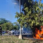 WhatsApp Image 2026-04-15 at 15.04.37 (1)