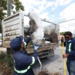 WhatsApp Image 2026-04-22 at 5.57.31 PM (1)