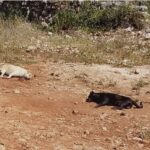 WhatsApp Image 2026-04-27 at 22.31.21