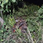 WhatsApp Image 2026-04-28 at 07.14.26