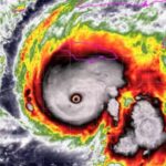 photo_5098622502937758687_y